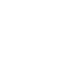 instagram-icon